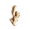kajal fresh ginger