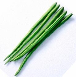 Kajal Fresh Drumstick