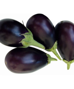 Kajal Fresh Eggplant  (Small)